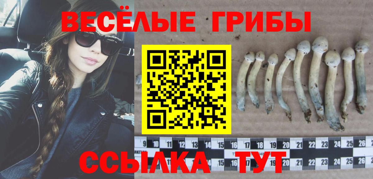 Псилоцибиновые грибы прущие грибы Узловая